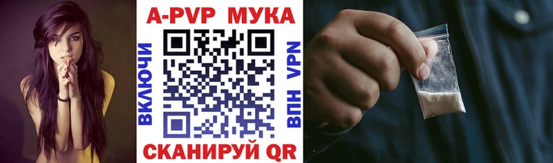 A PVP СК КРИС  Нестеров 
