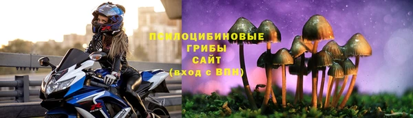 гашик Наволоки