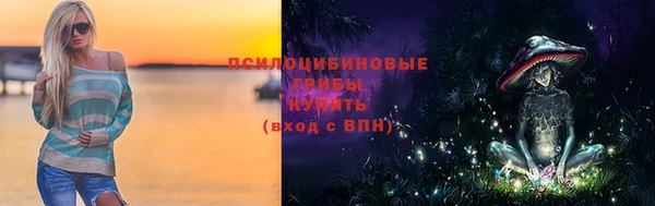 гашик Наволоки