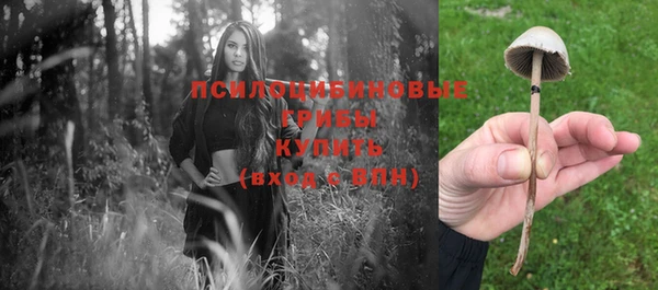 дурь Навашино
